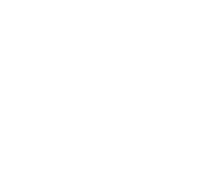 Text Box: 